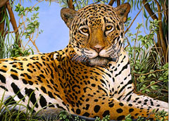 Mala Mala Matriarch-Leopard