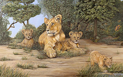 Babysitting-Lions