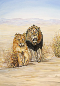 On the Move-Lions
