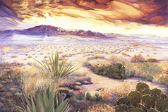 Desert Spectacular Landscape