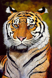 The Syltan-Sumatran Tiger