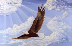 In God We Trust-Bald eagle