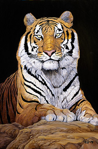 Watchful-tiger