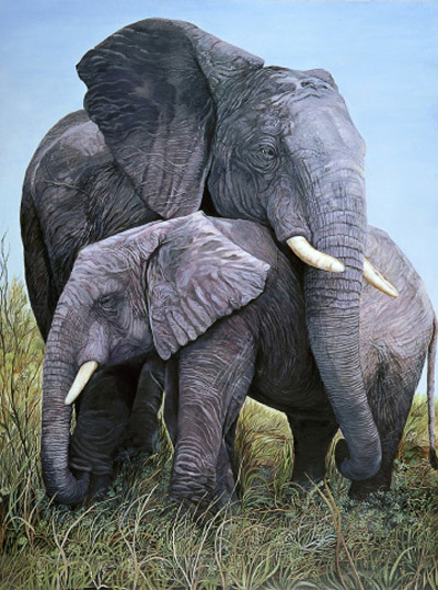 Mother Love-Elephants
