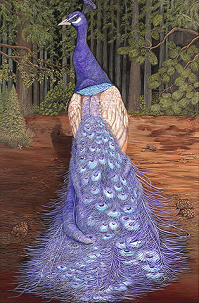 Purple Perfection-peacock