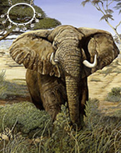 Confrontation-Elephant, giclee on canvas, with gold Eternal Circle with dangling CZs